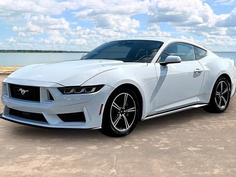 Used 2024 Ford Mustang Premium RWD image 1