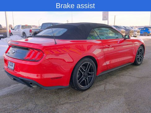 Used 2022 Ford Mustang Premium image 8