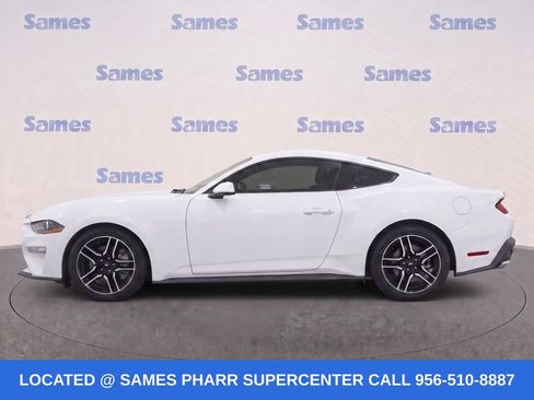 Used 2019 Ford Mustang Coupe w/ Equipment Group 101A RWD image 7