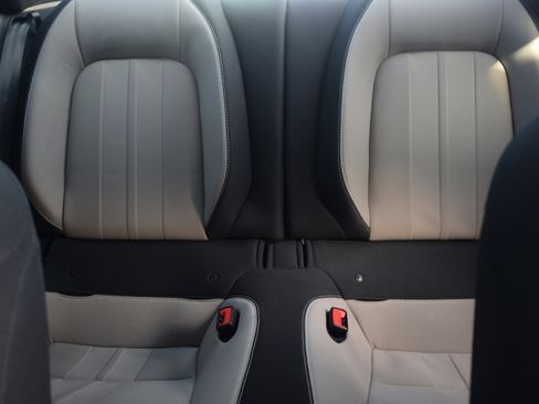 Used 2019 Ford Mustang GT w/ Equipment Group 301A image 15