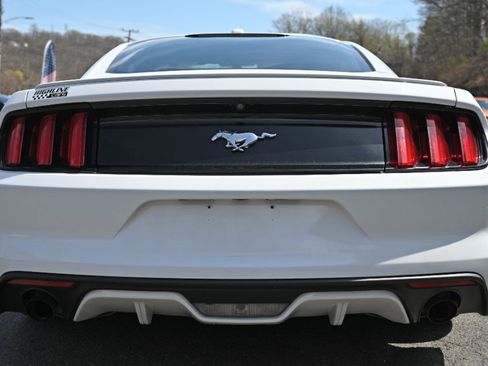 Used 2017 Ford Mustang Premium RWD image 5