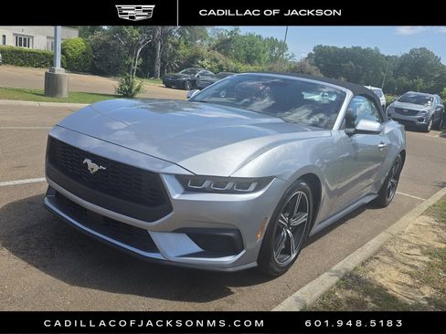 Used 2024 Ford Mustang Premium image 1