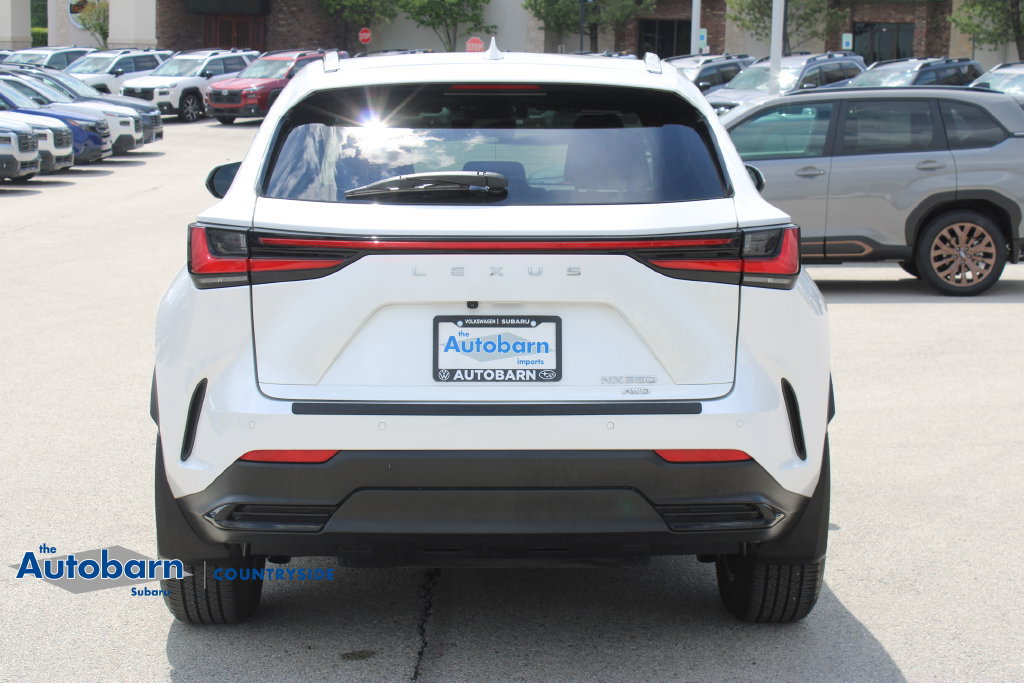 Used 2024 Lexus NX 350 AWD image 6