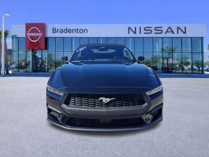 Used 2024 Ford Mustang Premium
