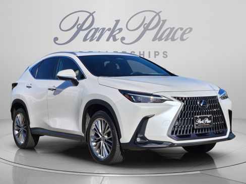Certified 2025 Lexus NX 350 AWD w/ Cold Area Package image 6