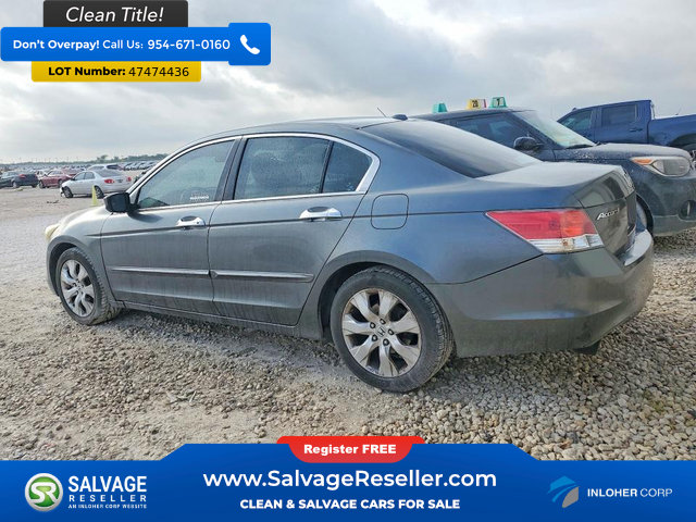 Used 2010 Honda Accord EX-L image 3