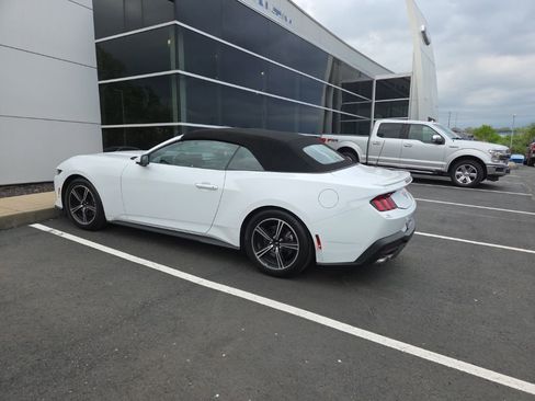 Used 2024 Ford Mustang Premium image 4