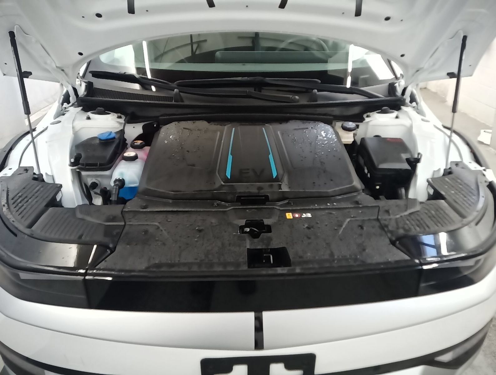 Used 2024 Hyundai Ioniq 5 SEL RWD image 8