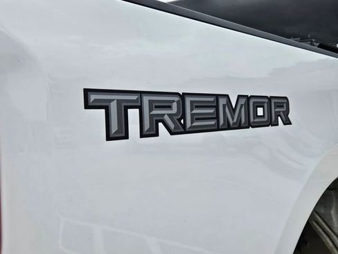 Used 2025 Ford F250 XLT w/ Tremor Off-Road Package AWD/4WD image 7