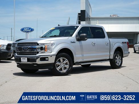 Used 2019 Ford F150 XLT w/ Equipment Group 302A Luxury AWD/4WD image 1
