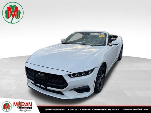 Used 2024 Ford Mustang Premium RWD image 1