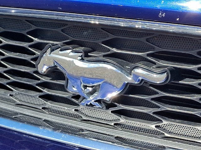 Used 2014 Ford Mustang Coupe w/ FP6 Appearance Package RWD image 30