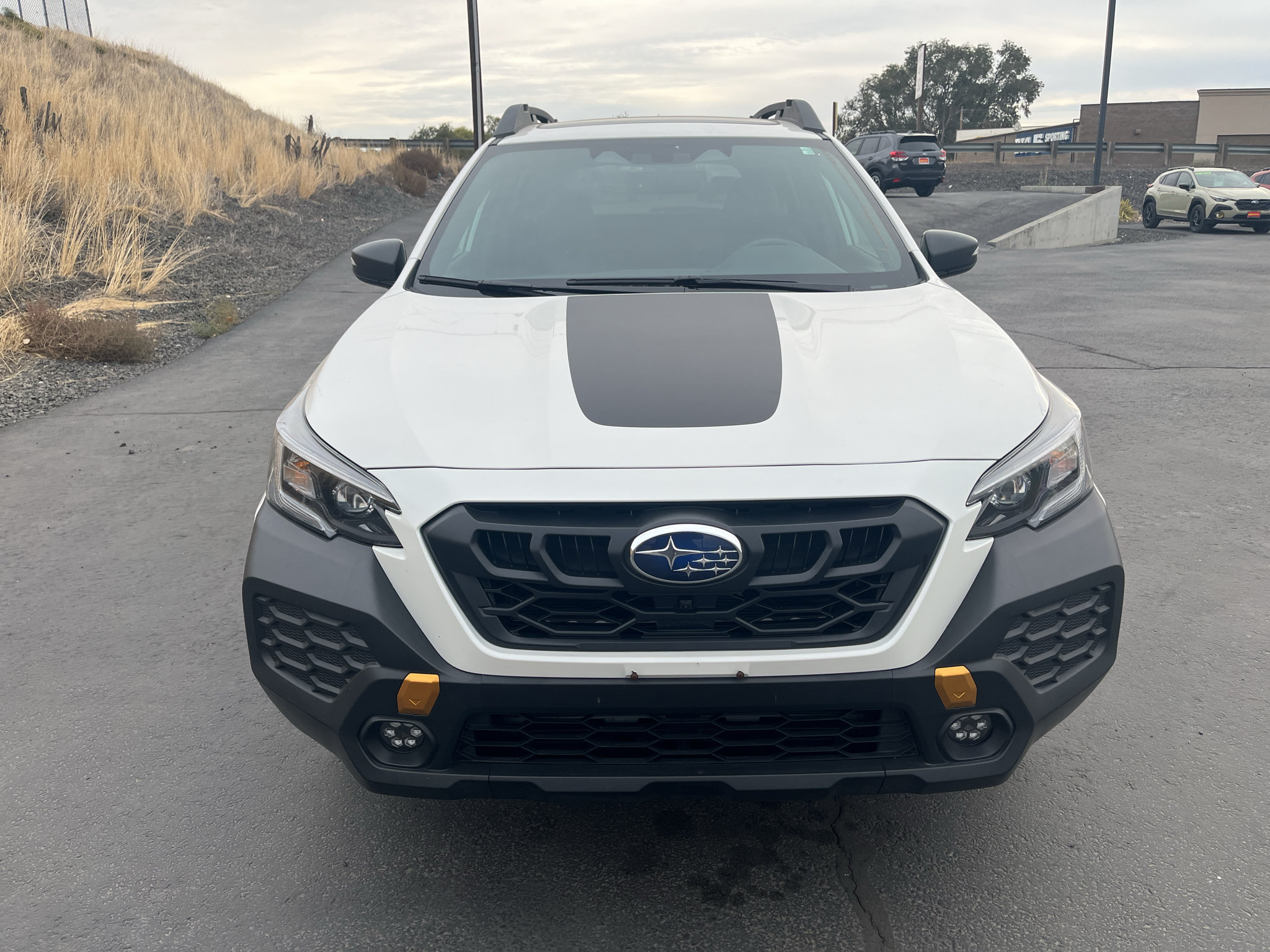 Used 2025 Subaru Outback Wilderness AWD/4WD image 2