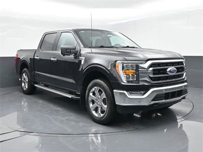 Used 2023 Ford F150 XLT w/ Equipment Group 302A High