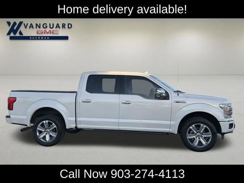 Used 2019 Ford F150 Platinum w/ Equipment Group 701A Luxury image 10