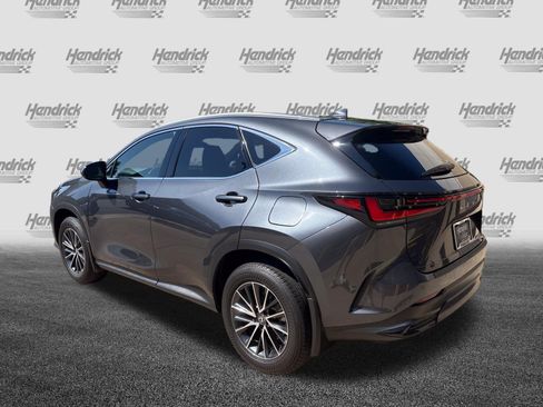 Used 2025 Lexus NX 350 AWD w/ Cold Area Package image 8
