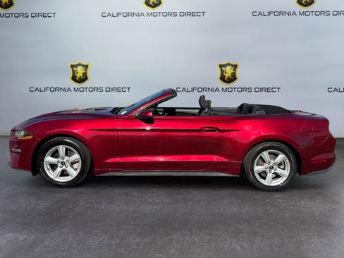Used 2019 Ford Mustang Convertible RWD image 2