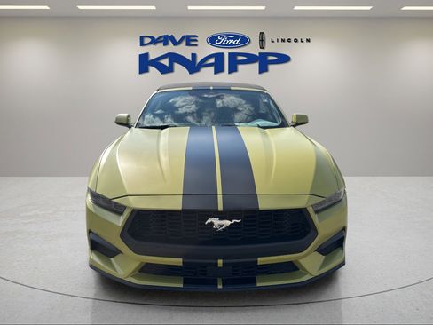 Used 2025 Ford Mustang Premium image 3