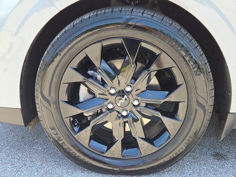 Used 2024 Kia Carnival SX Prestige FWD image 9