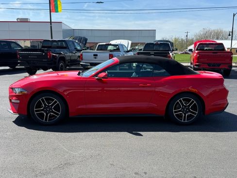 Used 2020 Ford Mustang Premium RWD image 5
