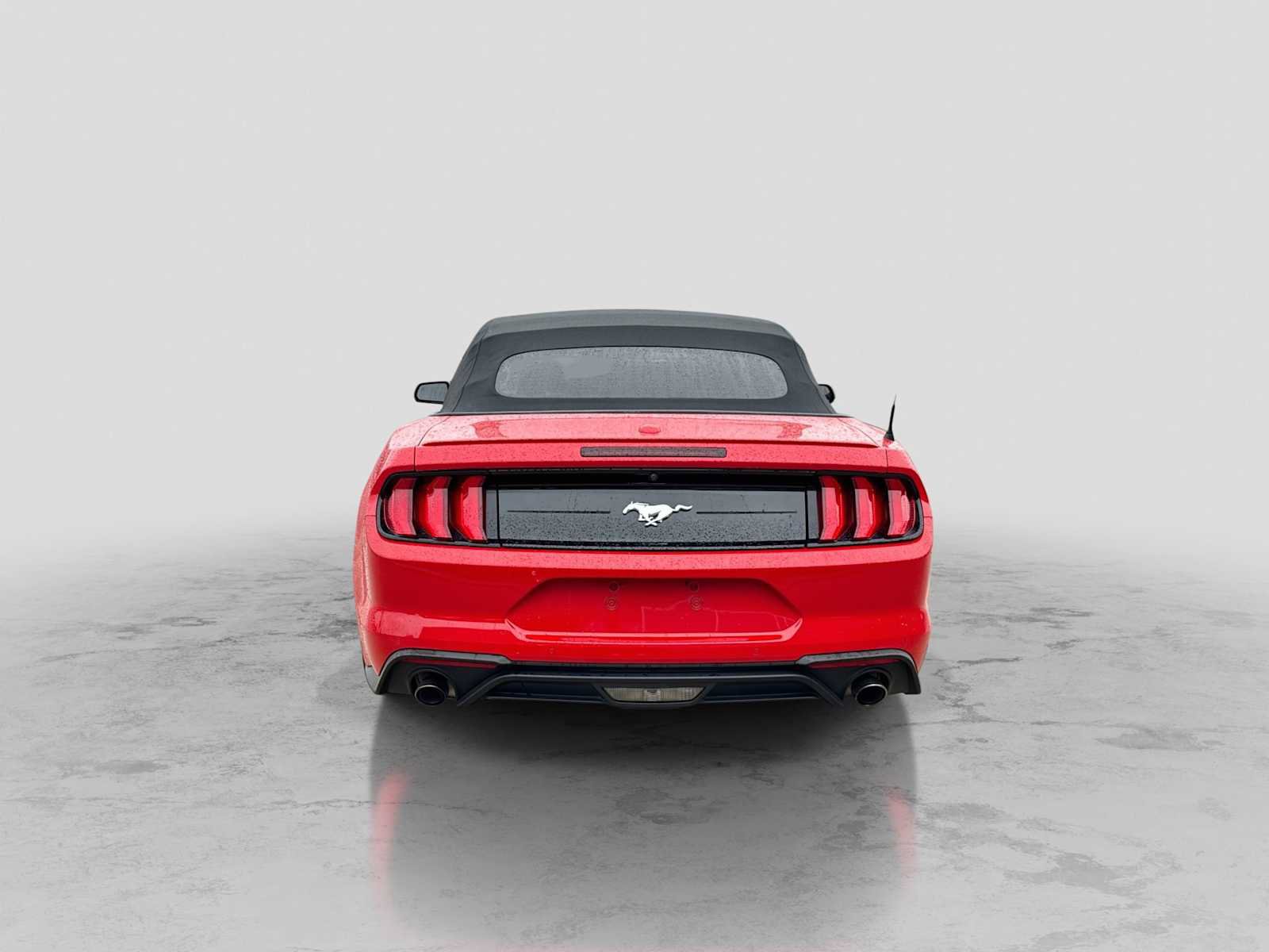 Used 2019 Ford Mustang Premium w/ Equipment Group 201A RWD image 5