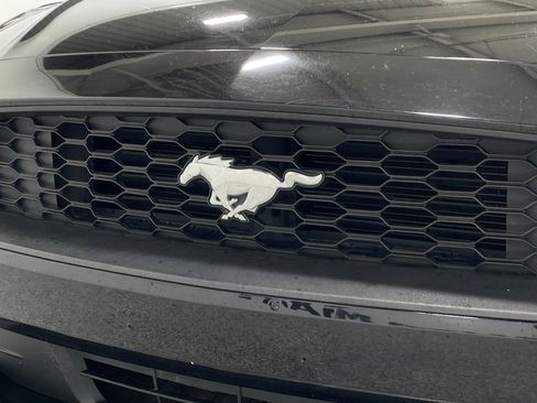 Used 2019 Ford Mustang Premium RWD image 37
