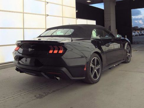 Used 2024 Ford Mustang Premium RWD image 3
