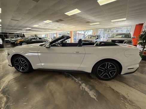 Used 2023 Ford Mustang Premium image 6