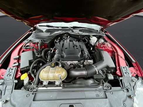Used 2019 Ford Mustang Coupe RWD image 30