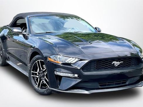 Used 2018 Ford Mustang Premium w/ Equipment Group 201A RWD image 1