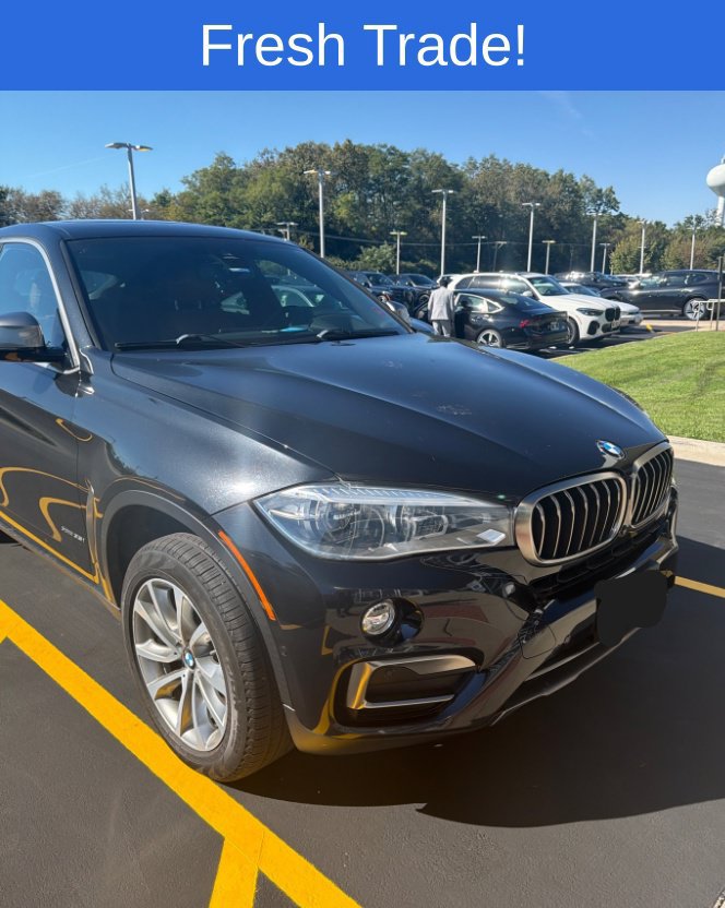 Used 2019 BMW X6 xDrive35i w/ Lighting Package AWD/4WD image 15