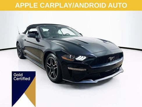 Certified 2023 Ford Mustang Premium image 1