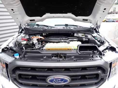 Certified 2023 Ford F150 XLT w/ Equipment Group 302A High AWD/4WD image 17