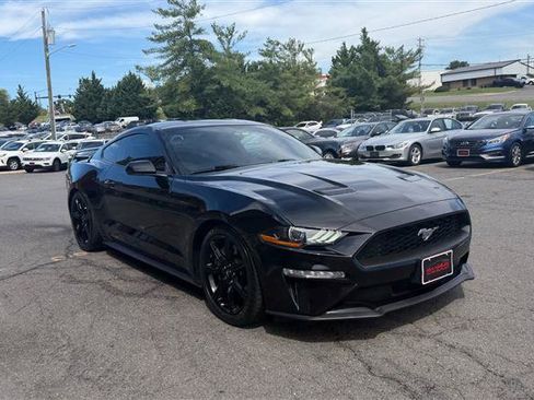 Used 2019 Ford Mustang Coupe w/ Ecoboost Performance Package RWD image 3