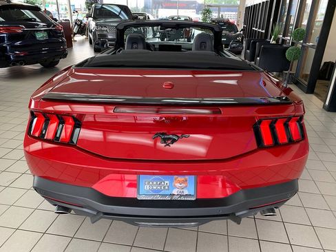 Used 2024 Ford Mustang Convertible w/ Mustang Nite Pony Package RWD image 6