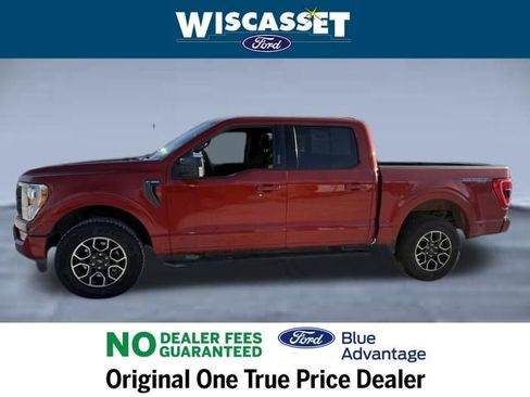 Used 2023 Ford F150 XLT w/ Equipment Group 302A High image 2