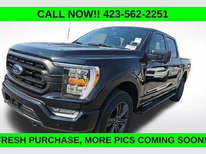 Used 2023 Ford F150 XLT w/ Equipment Group 302A High