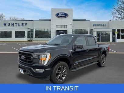 Used 2023 Ford F150 XLT w/ Equipment Group 302A High
