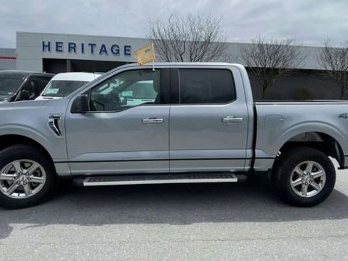 Used 2025 Ford F150 XLT w/ Equipment Group 301A Standard AWD/4WD image 5