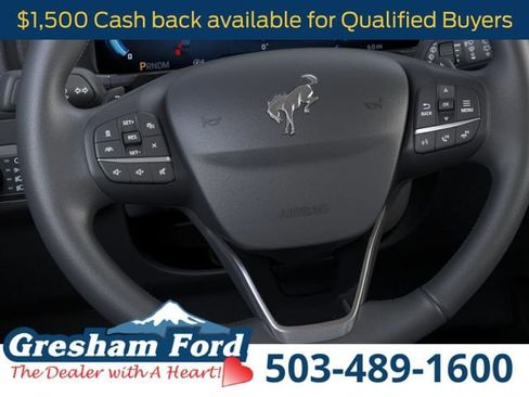 New 2025 Ford Bronco Sport Badlands w/ Sasquatch Badlands Package AWD/4WD image 13