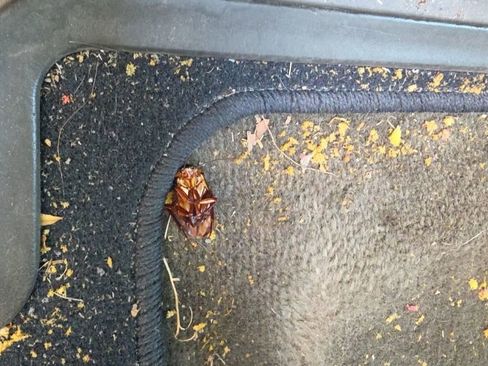 Used 2004 Chevrolet Silverado 2500 LS w/ Skid Plate Package image 6