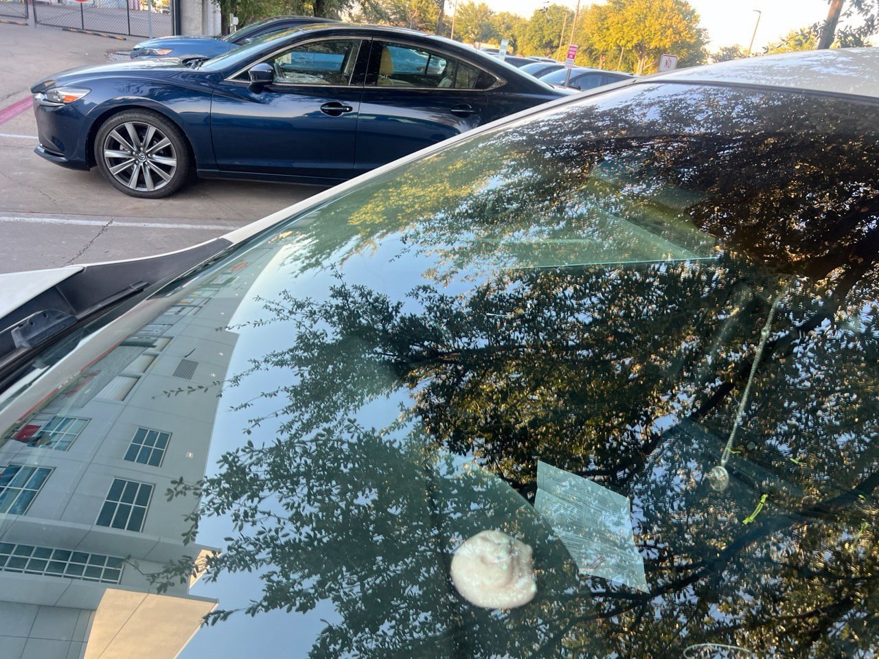 Used 2014 Nissan Maxima 3.5 S FWD image 9