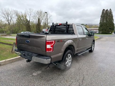 Used 2019 Ford F150 XLT w/ Equipment Group 302A Luxury AWD/4WD image 3