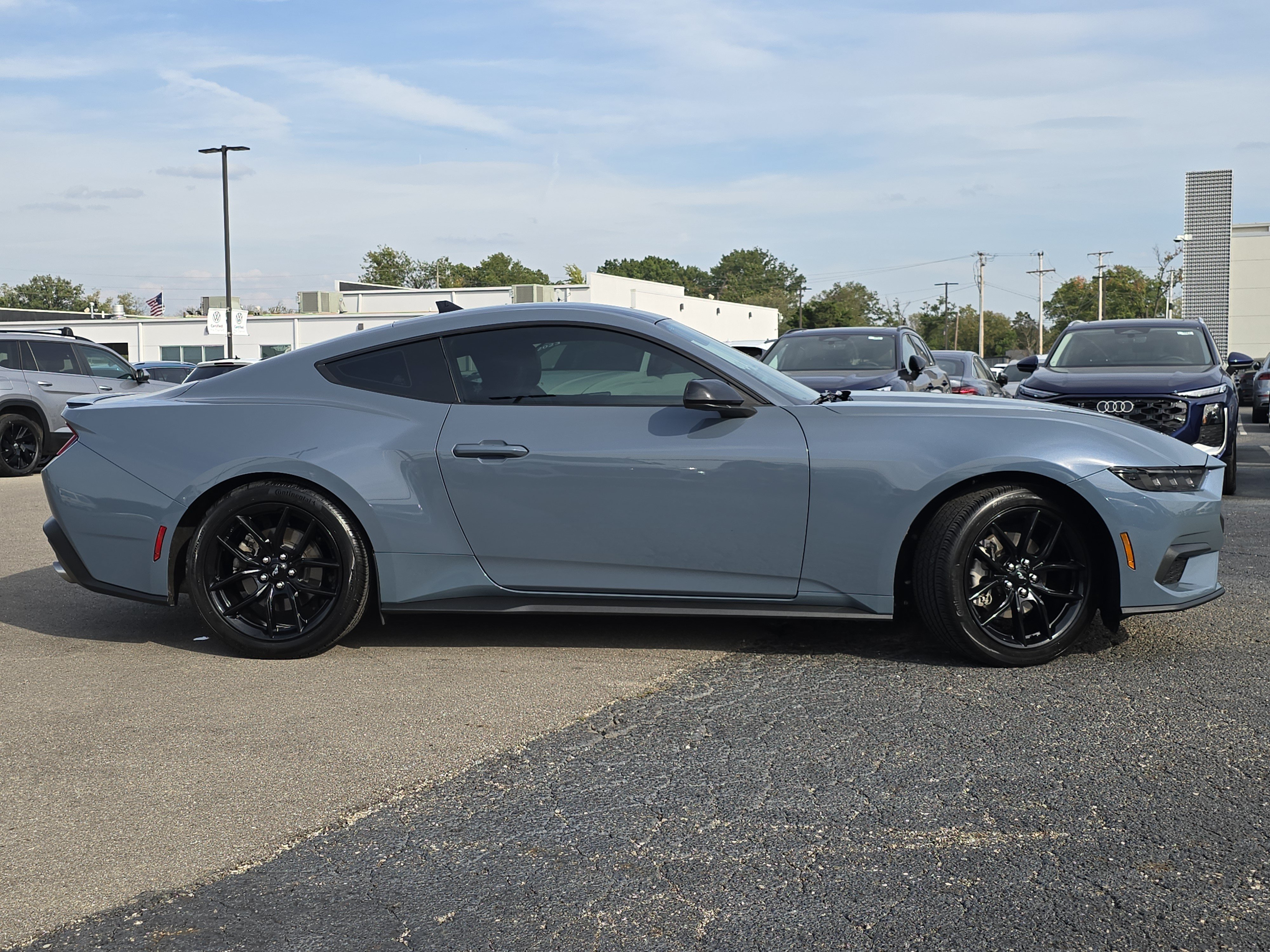 Used 2024 Ford Mustang Premium w/ Mustang Nite Pony Package RWD image 8