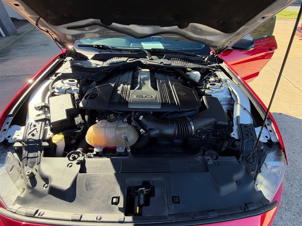 Used 2019 Ford Mustang GT w/ GT Performance Package RWD image 8