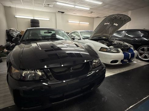 Used 2003 Ford Mustang Cobra image 7