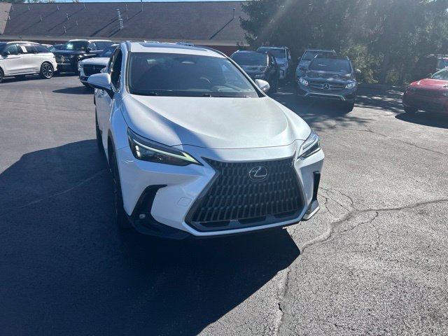 Used 2024 Lexus NX 350 AWD w/ Cold Area Package image 4