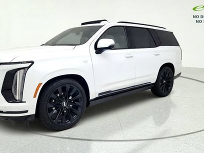 Used 2026 Cadillac Escalade Platinum Sport w/ LPO, ONYX Package