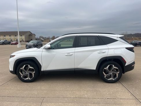 Used 2023 Hyundai Tucson Limited image 7