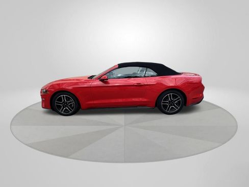 Used 2023 Ford Mustang Premium w/ Equipment Group 201A image 4